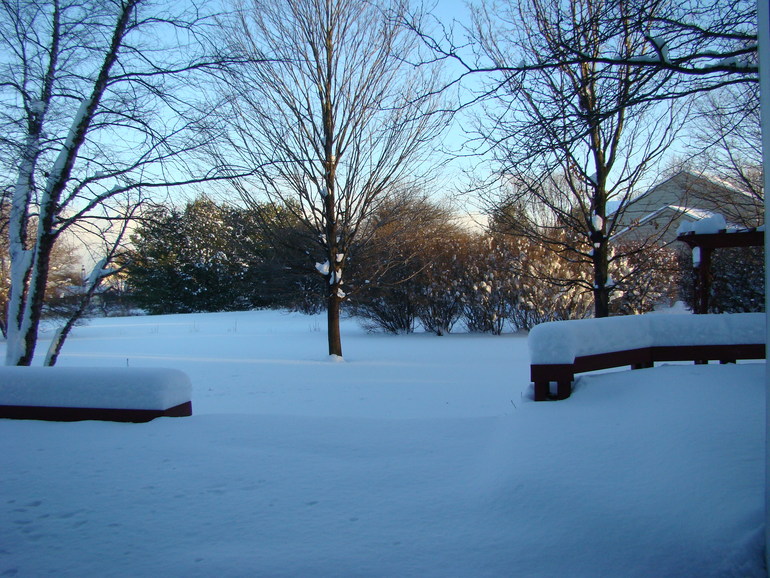 Зима разгулялась не на шутку.