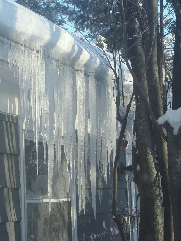 C корнем вырваный день.