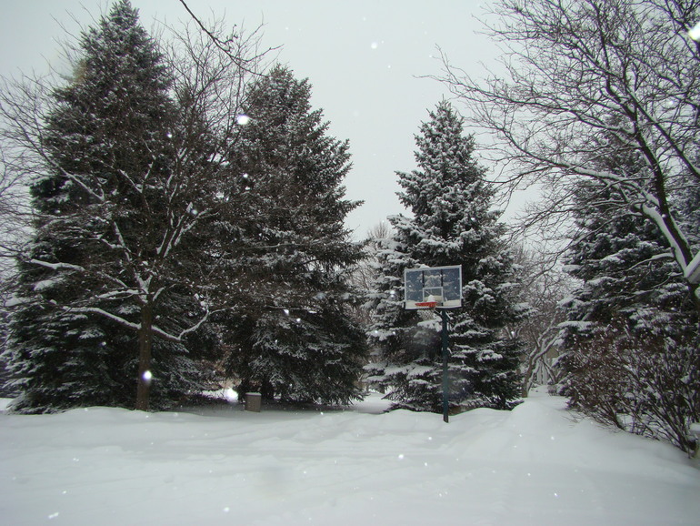 Зима разгулялась не на шутку.