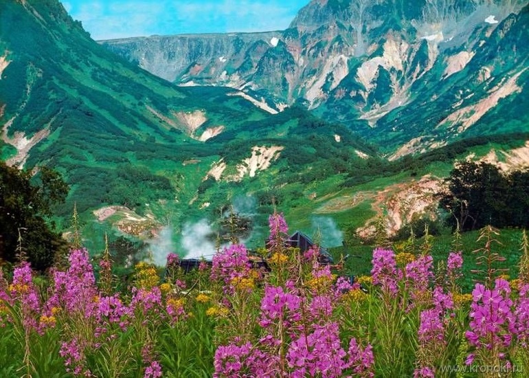 Мечта о путешествии