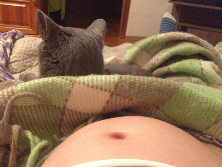 Сняли эмбарго с кота)