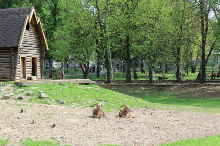 Выходные прошли)
