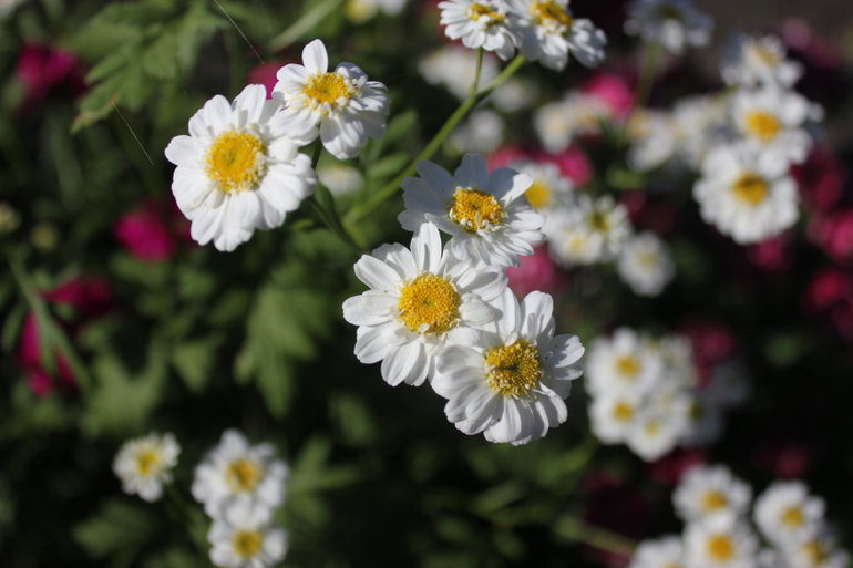 Наша поездка №3 =)