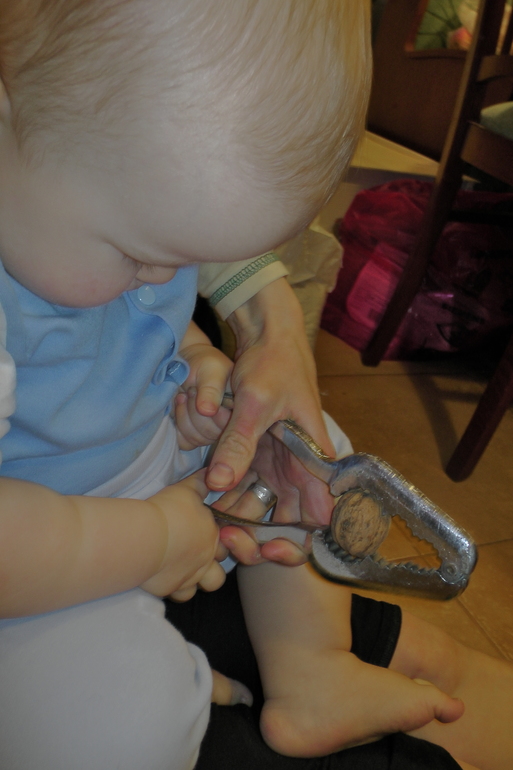 ТЗ "живые грибы"