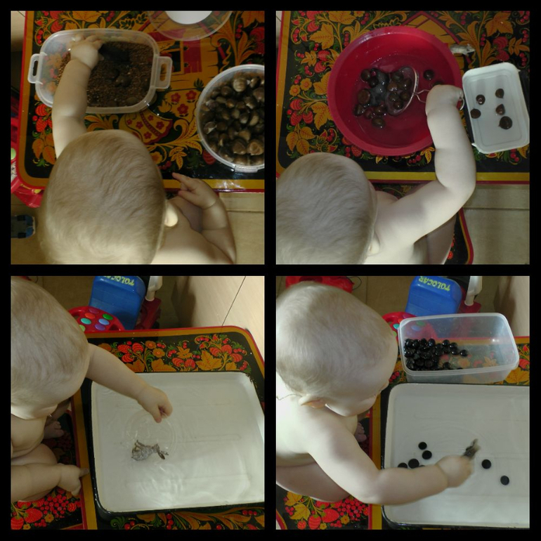 ТН "Лесные животные"