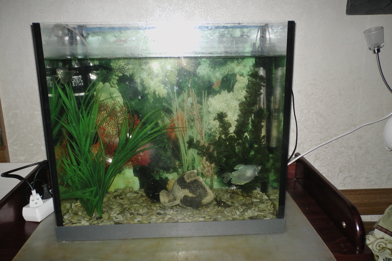 Подготовка к ТН "Море"