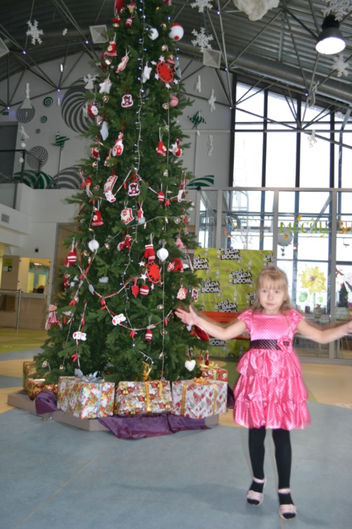 19,20 декабря 2013