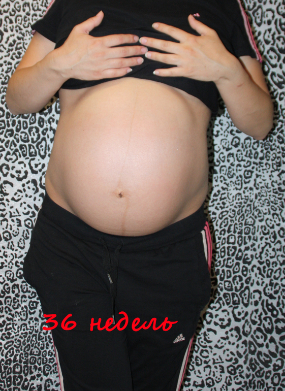 36 недельный отчёт и фотки