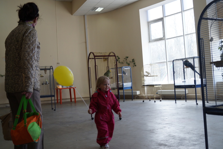 Выставка животных, неоднозначное мнение