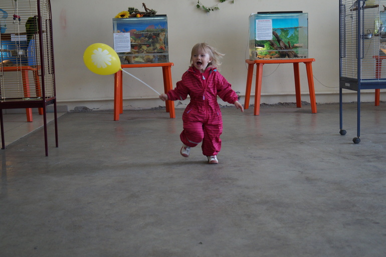 Выставка животных, неоднозначное мнение