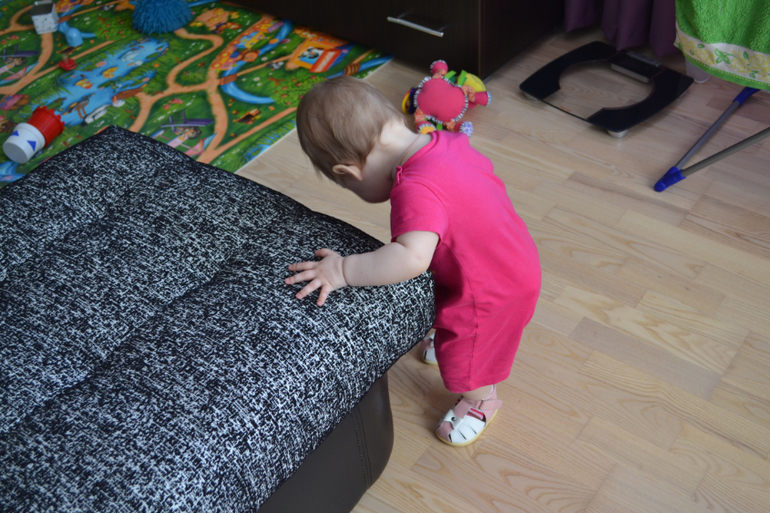 хомяк и туфли)))