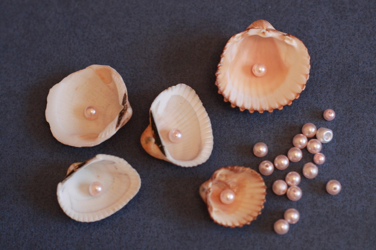 ТН "Подводный мир"