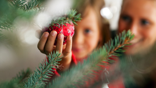 Какую елку выбрать?