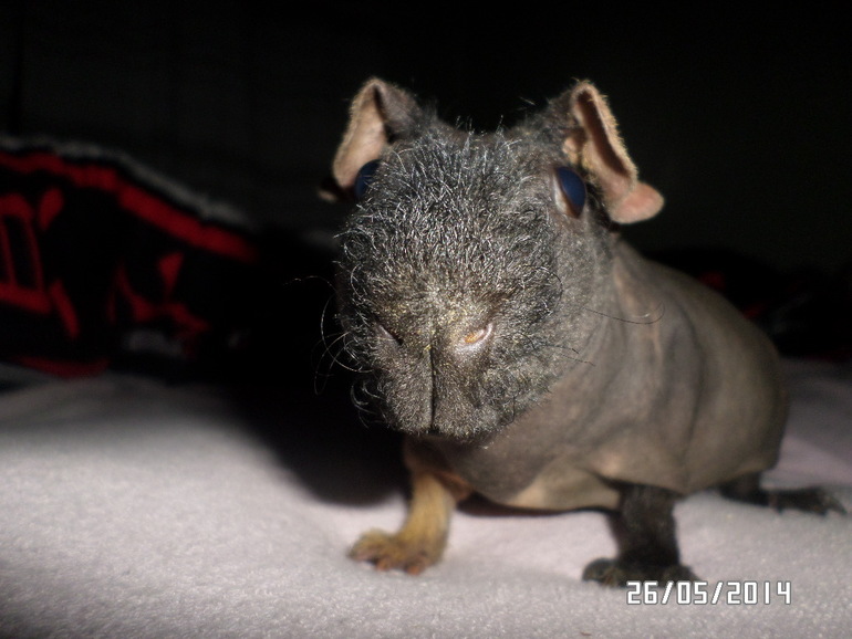 Мы беременны