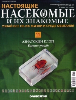 коллекция