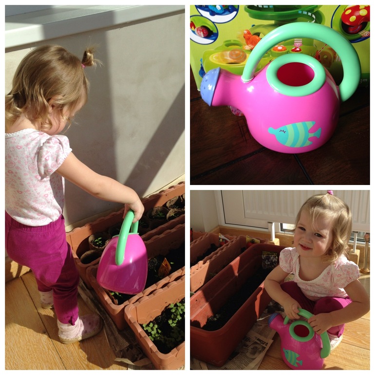 Хвастик из Imaginarium