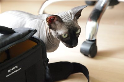 Фасоль + Юля= :(