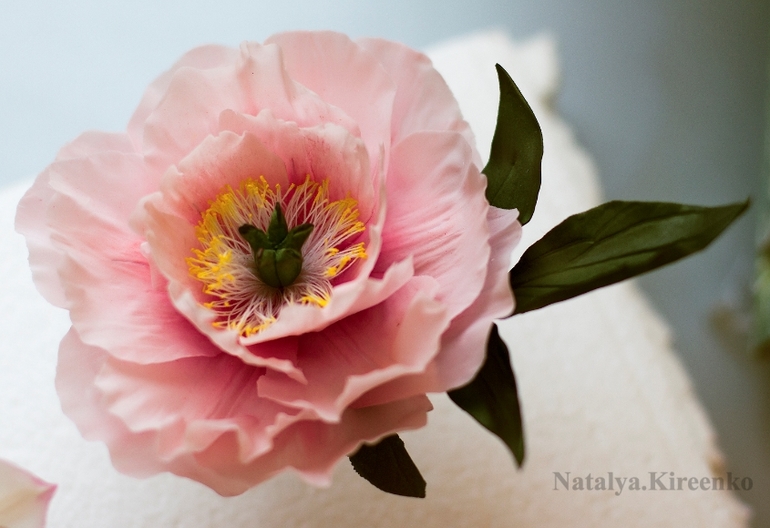 Мои цветы после курсов!