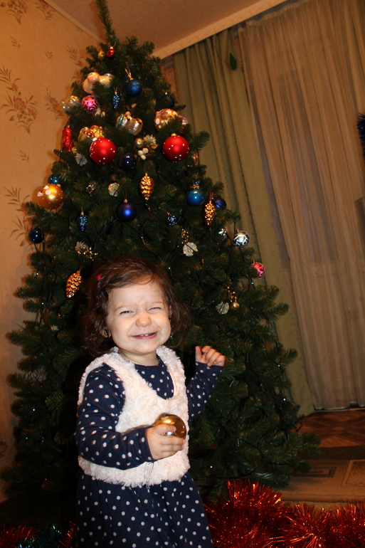 Новый год 2014!