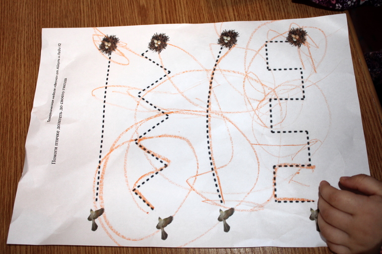 ТН "Весна". День 4 ". Здравствуйте птицы!"