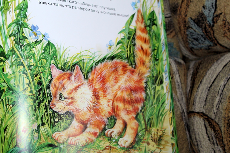 Отчет по мини-ТН