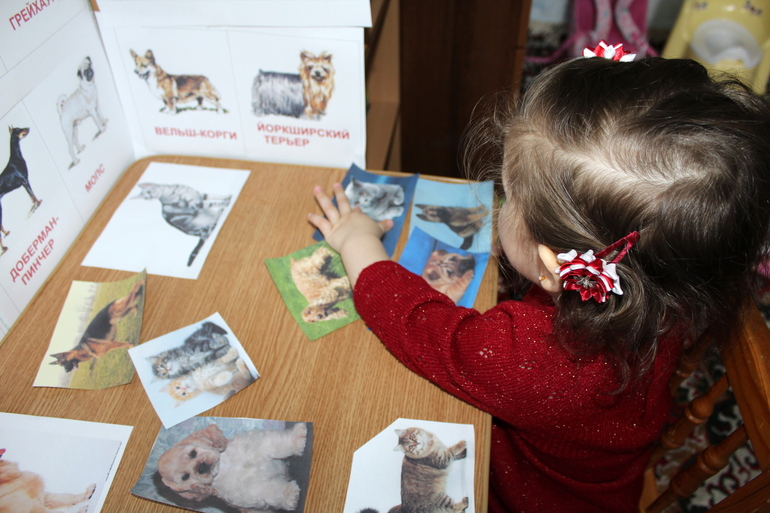 Отчет по мини-ТН