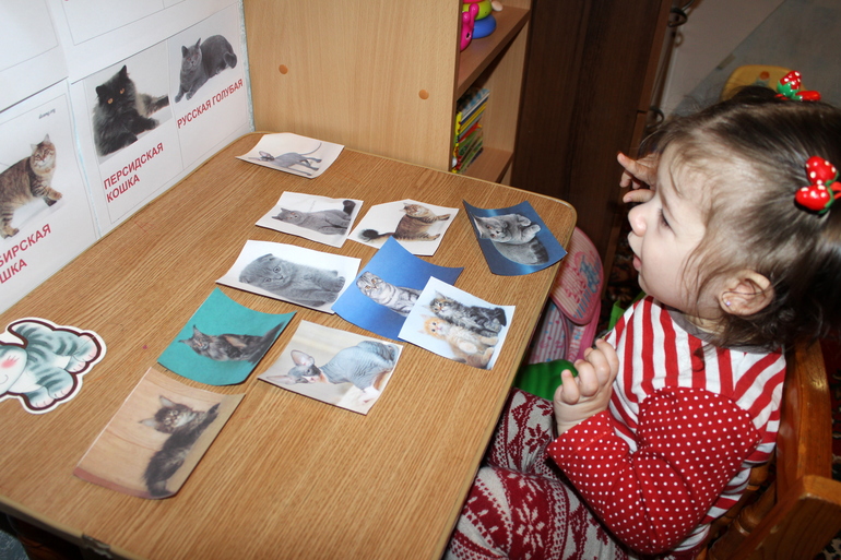 Отчет по мини-ТН