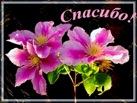 Благодарность!!!