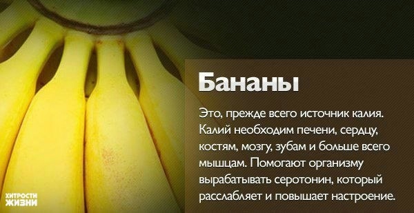 продолжение вкусного и полезного