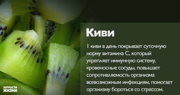 продолжение вкусного и полезного