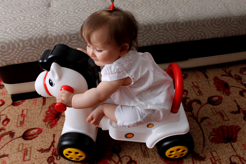 Конь в яблоках.8,5 мес