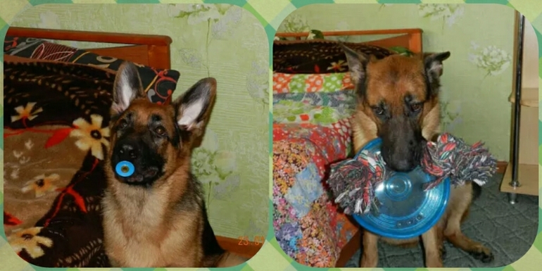 мой сладкий мальчик!!мой сынок))