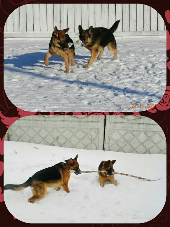 мой сладкий мальчик!!мой сынок))