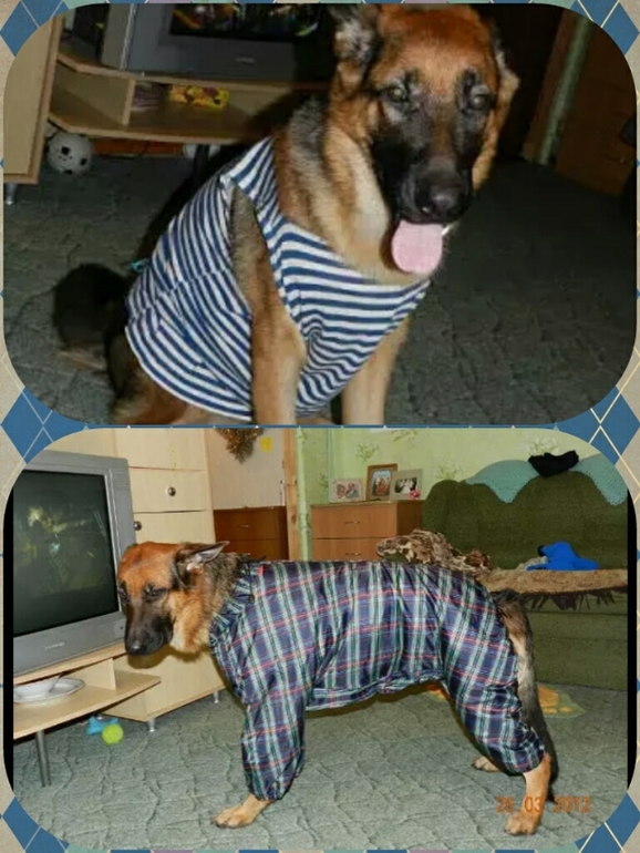 мой сладкий мальчик!!мой сынок))