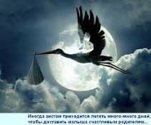 Они уже в пути!!!