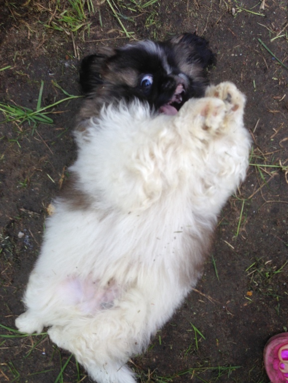 Мальчик...и еще...мальчик...)))