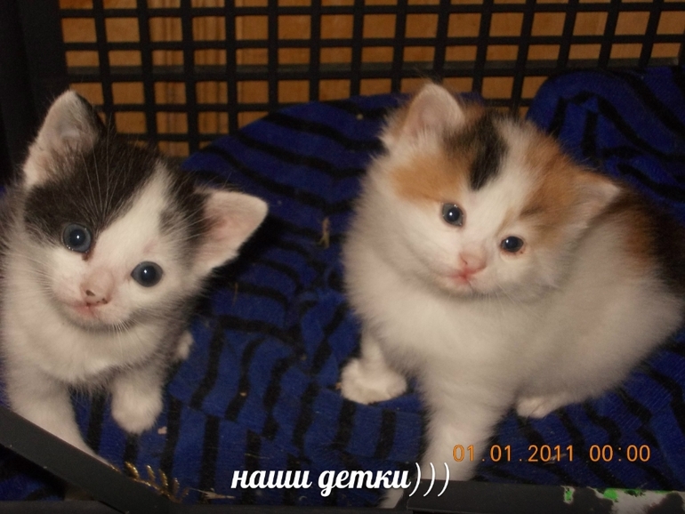 подросли наши малыши)
