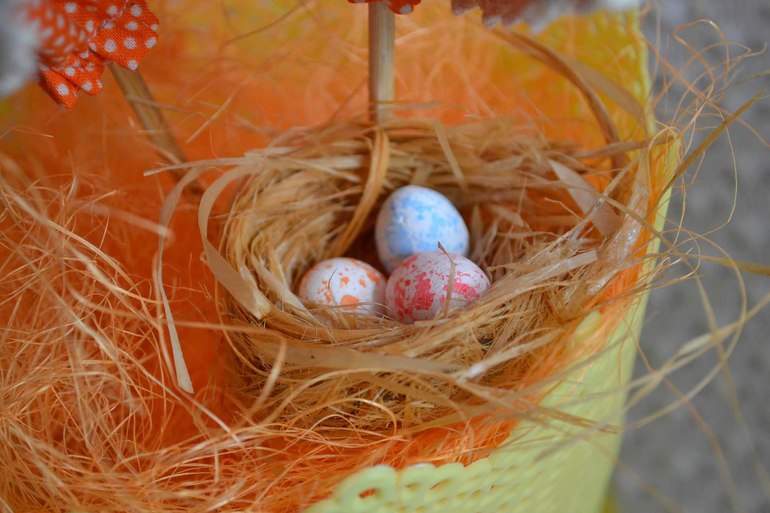 Ко ко ко - Курочка!!!!!!!!!!!!!!!!!!!!!!!!