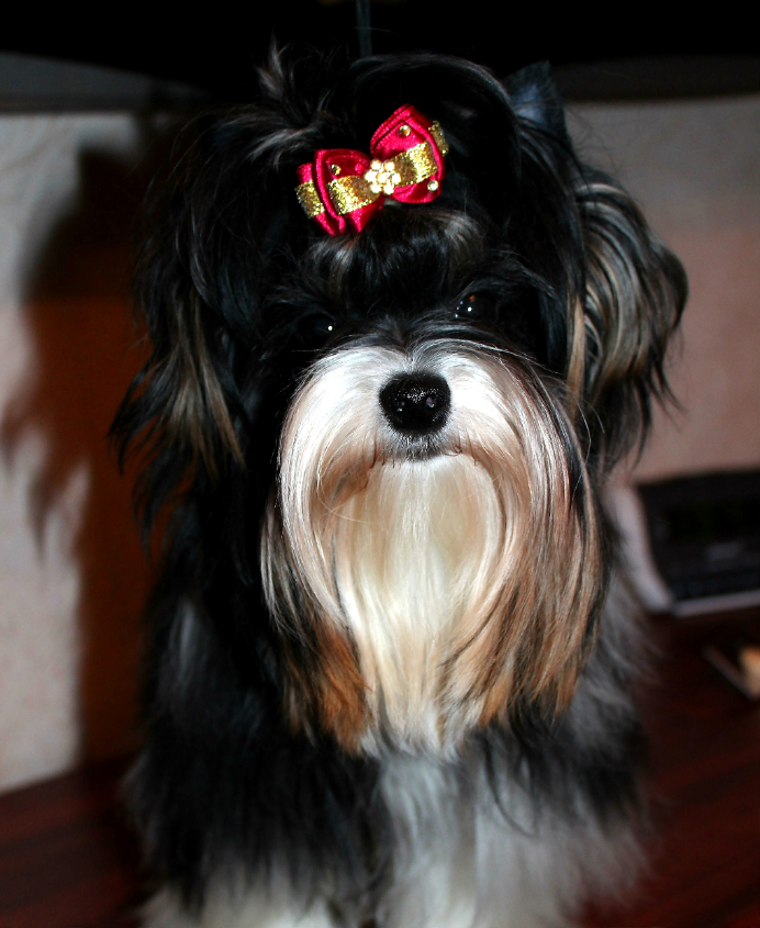 Моя девочка 9.5 мес