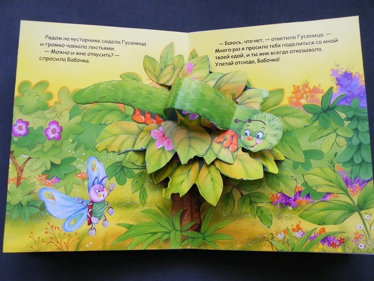 Первое пополнение лета