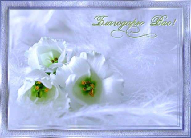 Огромное спасибо, Ирина!