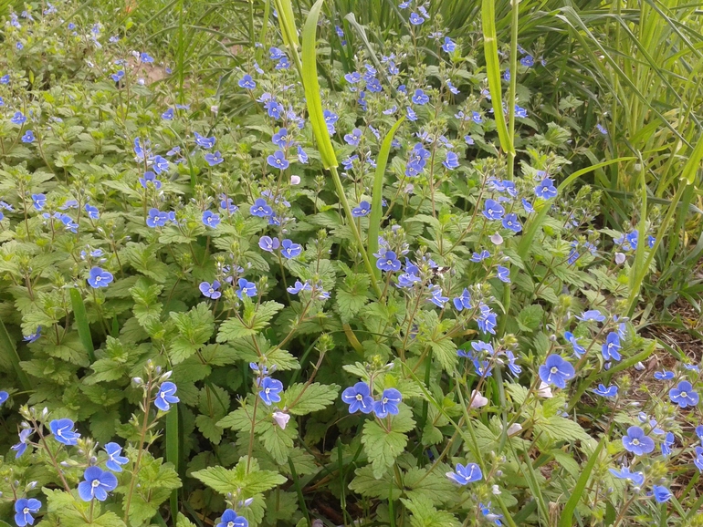 Чуть -чуть фоток