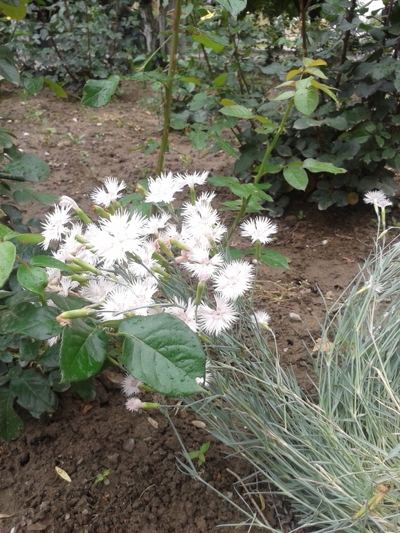 Чуть -чуть фоток