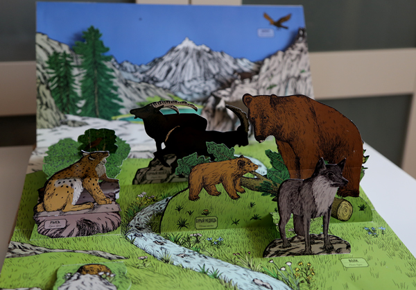 Анималия. Развороты.