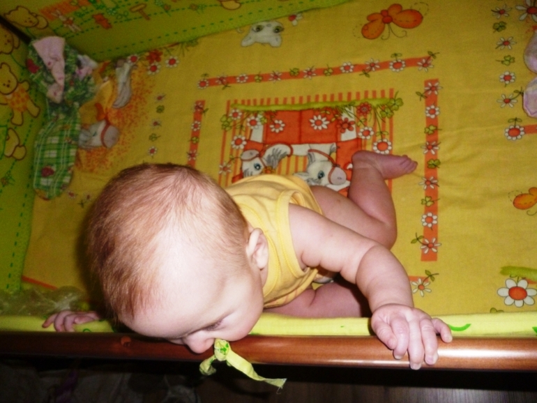 5,5 месяцев - миниотчет