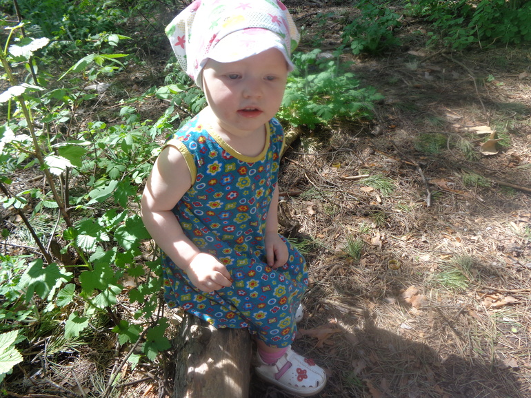 Гуляли в лесу