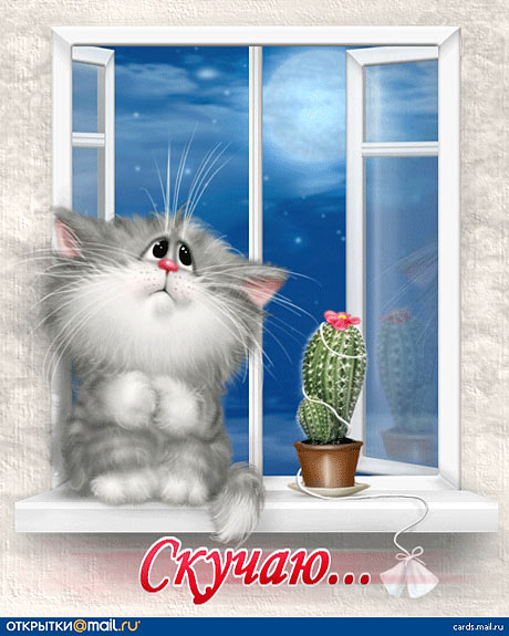 Открытка с котиками скучаю Открытка с котиками скучаю