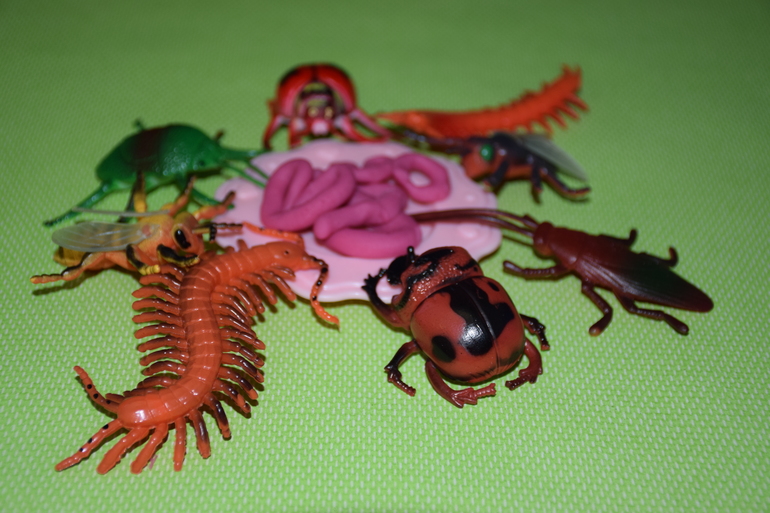 ТД Муха-цокотуха