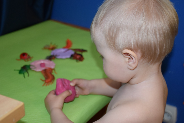 ТД Муха-цокотуха