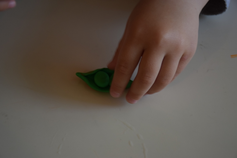 ТН "Как растут овощи"день 3